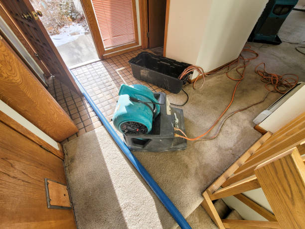 Best Carpet water damage restoration  in Winnebago, IL