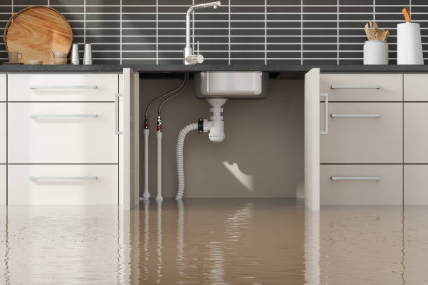 Best 24/7 water damage repair  in Winnebago, IL