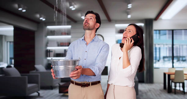 Best Water damage cleanup near me  in Winnebago, IL
